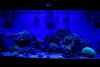 DSC02232.JPG
