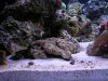 DSCN1549_199.jpg