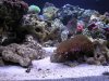 DSCN1550_198.jpg