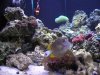 DSCN1552_196.jpg