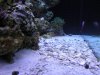 DSCN1567_181.jpg
