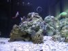 DSCN1555_193.jpg