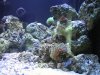 DSCN1556_192.jpg
