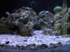 DSCN1557_191.jpg