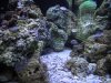 DSCN1558_190.jpg