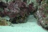 DSC_1791.jpg