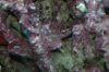 DSC_1793.jpg