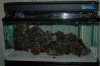 DSC_1802.jpg