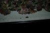 DSC_1804.jpg