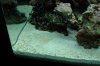 DSC_1809.jpg
