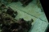 DSC_1810.jpg