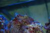DSC_1849.jpg