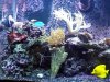 IMG00053-20100725-1652.jpg