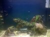 2010-08-01 19.05.26.jpg