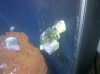 2010-08-01 19.07.14.jpg