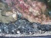 100_1629.jpg