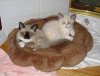 jassy and caspy.jpg