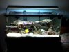 40_gal_tank.jpg