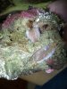 100_2472.jpg