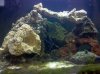 2010-08-16 16.15.11.jpg