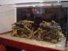 acrylic.tank.sump 005.jpg