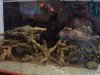 acrylic.tank.sump 006.jpg