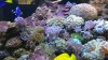 100_0017.jpg