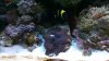 100_0018.jpg