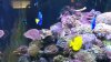 100_0022.jpg