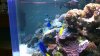 100_0021.jpg