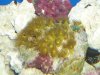 DSC00476.JPG