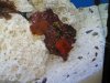 DSC00477.JPG