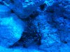photo11.JPG