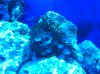 photo13.JPG