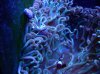 DSC00326.jpg