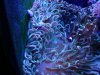 DSC00327.jpg