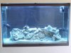 tank_001.jpg
