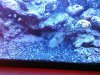 IMG00080-20100903-2111.jpg