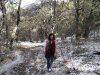 madera12007 0011me.jpg