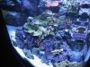2010012iso31 02911.jpg