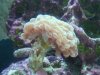 DSC02070.JPG