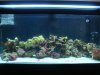 DSC02076.JPG