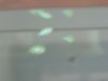 tank 023.jpg