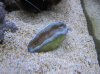 IMG_1345.jpg