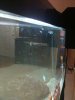 fishtank2.jpg