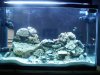 tank 030.jpg