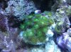 2010-09-24211117b.jpg