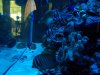 100_2386.jpg