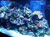 100_2391.jpg