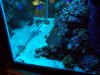 100_2378.jpg
